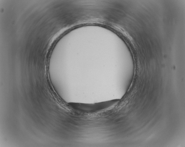 X0000070361316200606301821