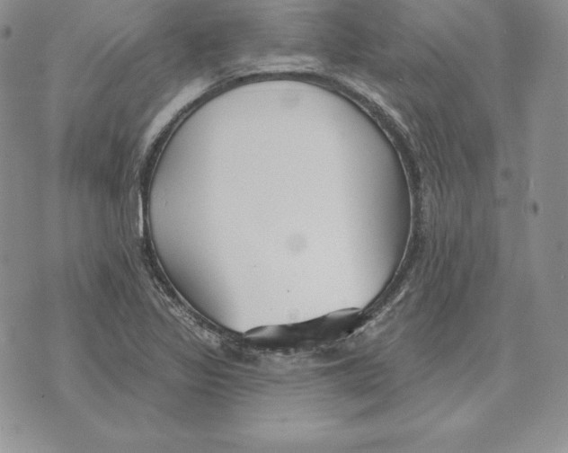 X0000070361317200606301821