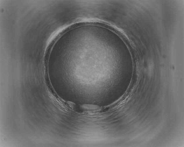 X0000070361319200606301821