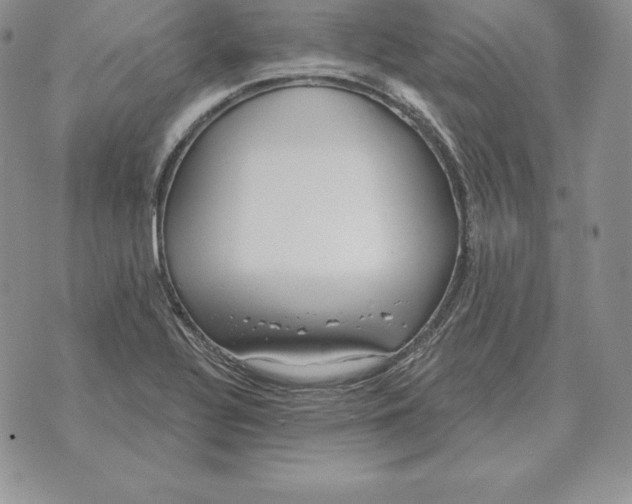 X0000070361320200606301821