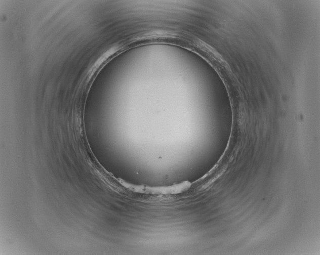 X0000070361321200606301821