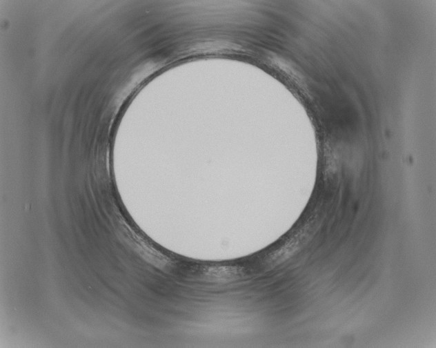 X0000070361322200606301821