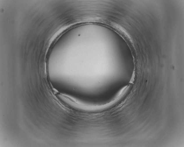 X0000070361324200606301821