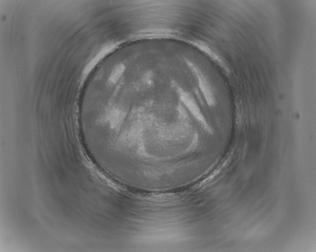 X0000070361325200606301821