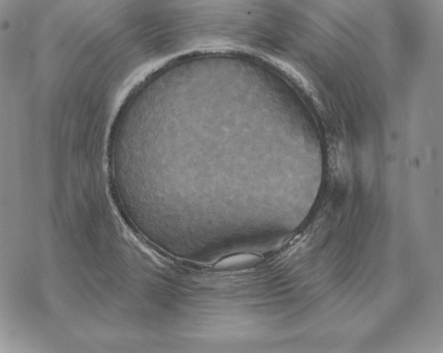 X0000070361327200606301821