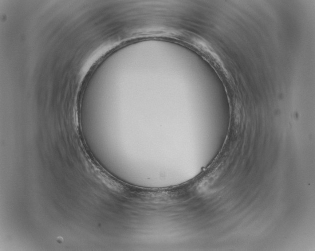 X0000070361328200606301821