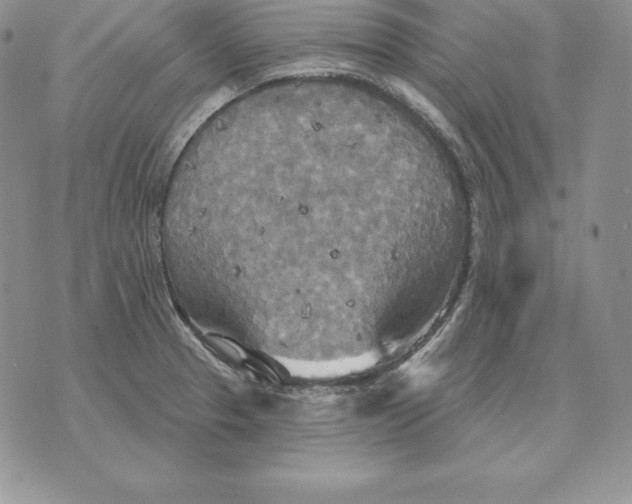 X0000070361329200606301821