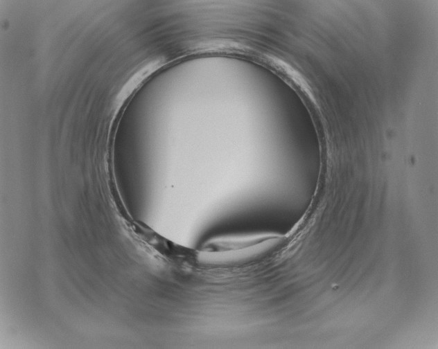 X0000070361330200606301821