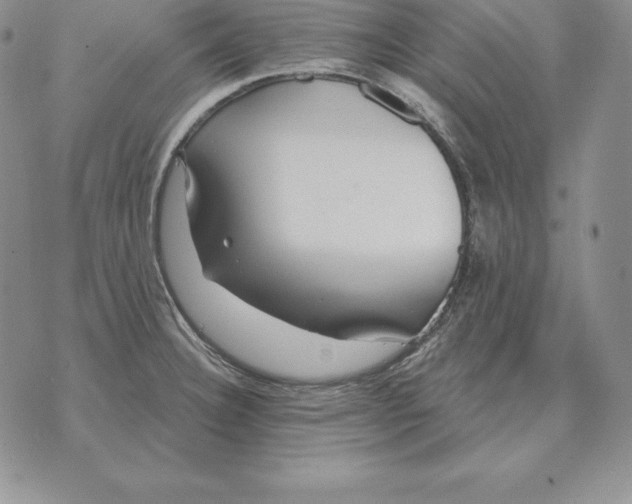 X0000070361332200606301821