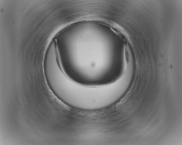 X0000070361334200606301821