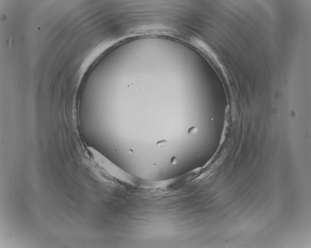 X0000070361336200606301821