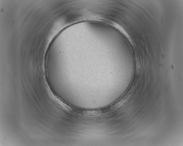 X0000070361339200606301821