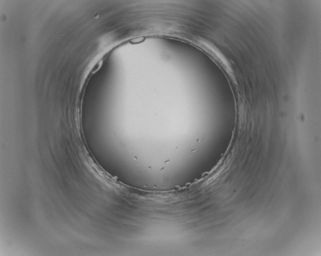 X0000070361340200606301821