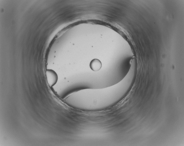 X0000070361342200606301821