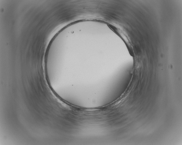 X0000070361343200606301821