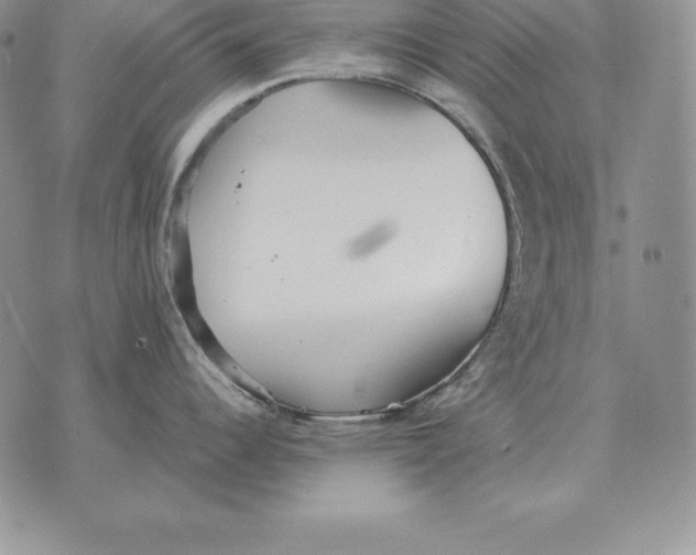 X0000070361344200606301821