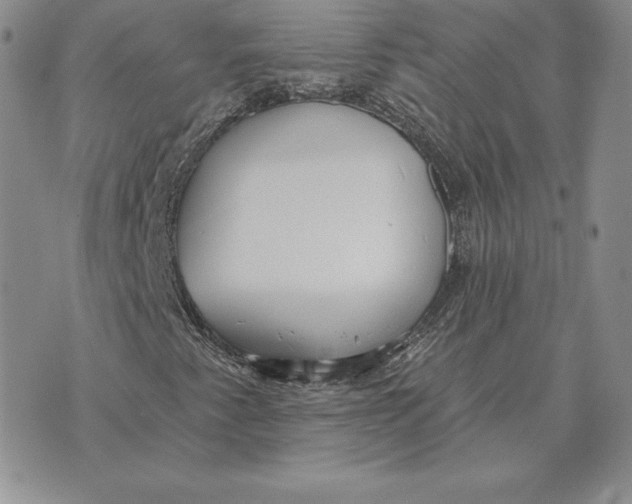 X0000070361345200606301820