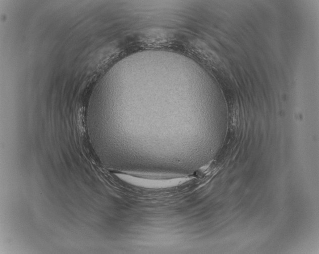 X0000070361346200606301820