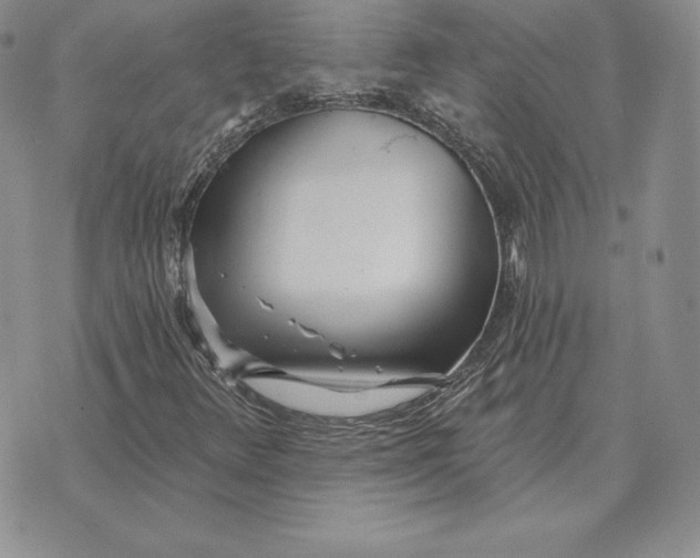 X0000070361348200606301820