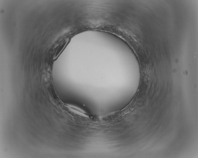 X0000070361349200606301820