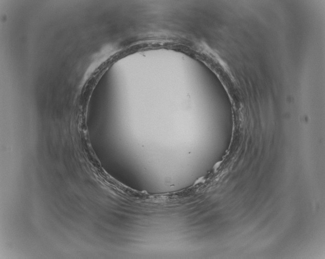 X0000070361352200606301820