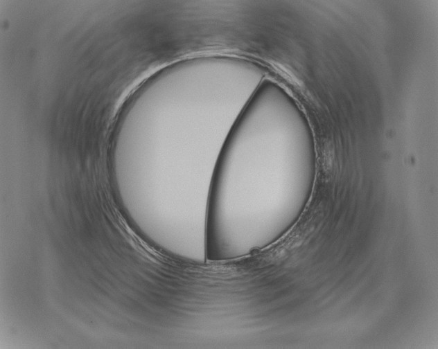 X0000070361356200606301820