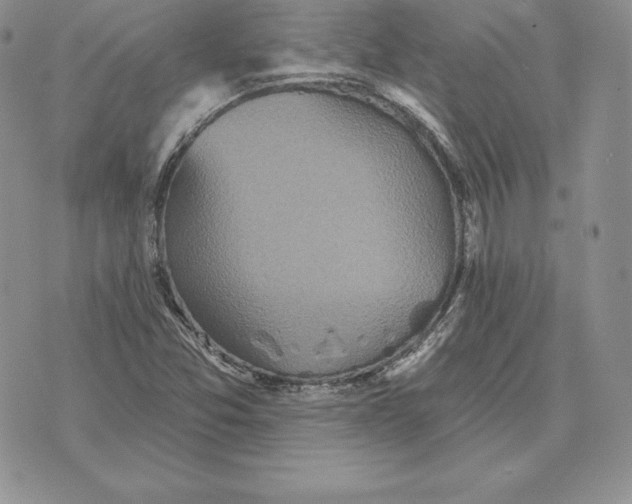 X0000070361357200606301820