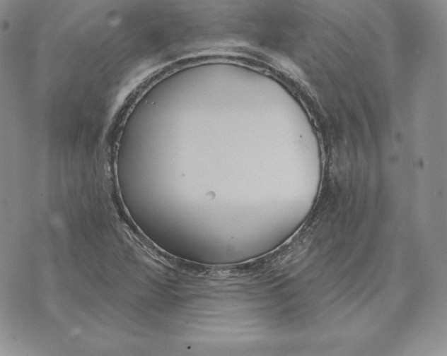 X0000070361360200606301820