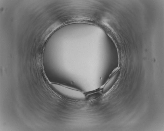 X0000070361361200606301820