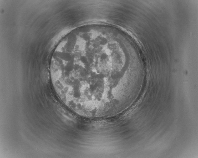 X0000070361363200606301820