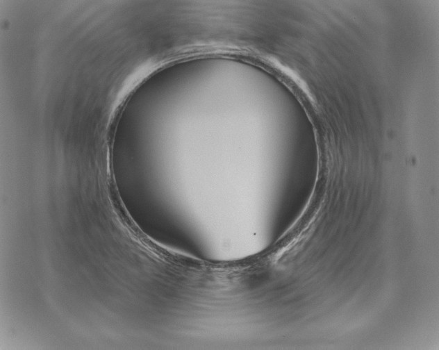 X0000070361365200606301820