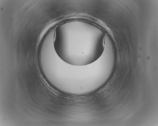 X0000070361368200606301820