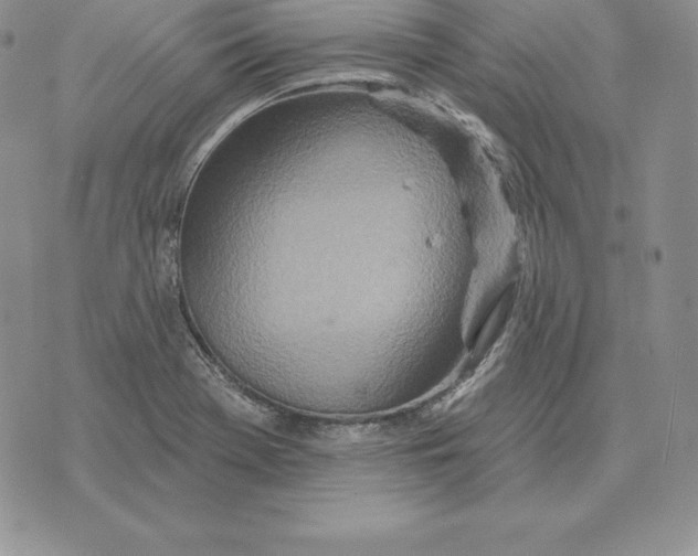 X0000070361369200606301820