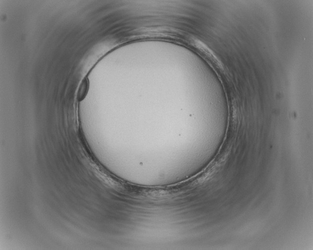 X0000070361370200606301820