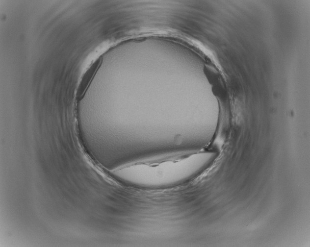 X0000070361373200606301820