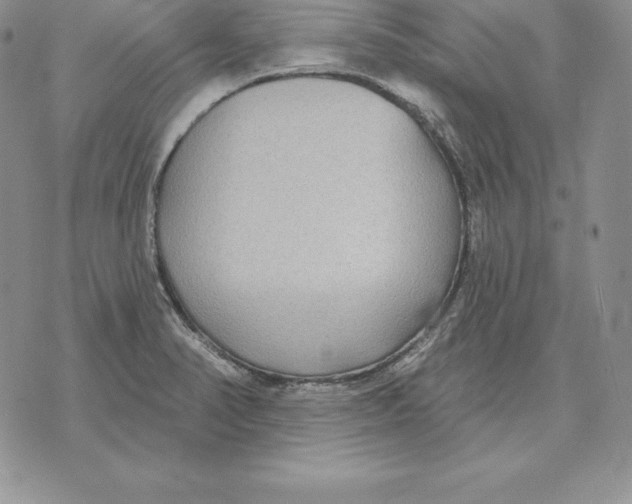 X0000070361374200606301820