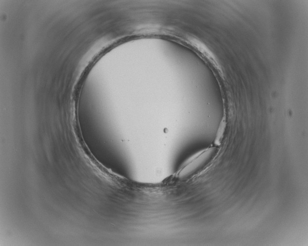 X0000070361376200606301820