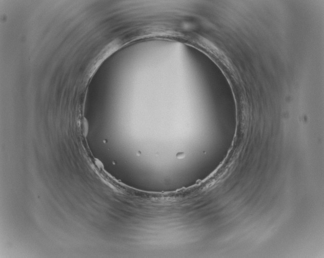 X0000070361377200606301820