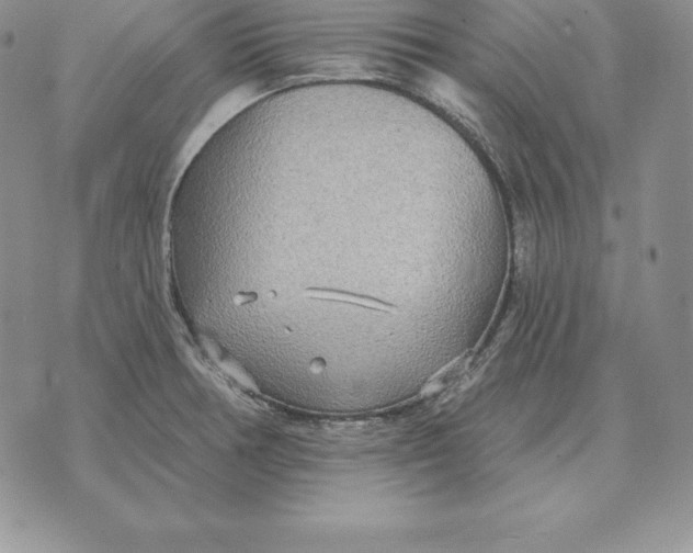 X0000070361378200606301820