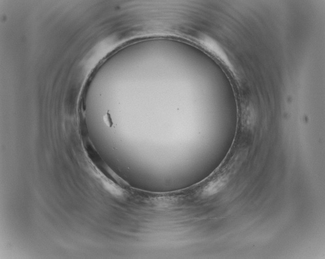 X0000070361380200606301820