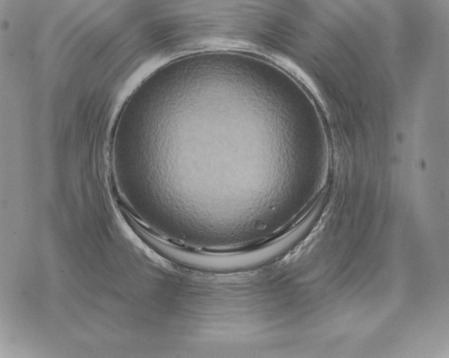 X0000070361381200606301820