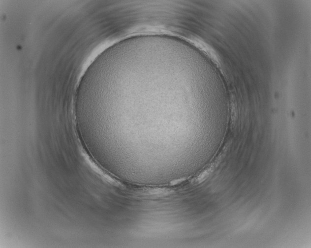 X0000070361382200606301820