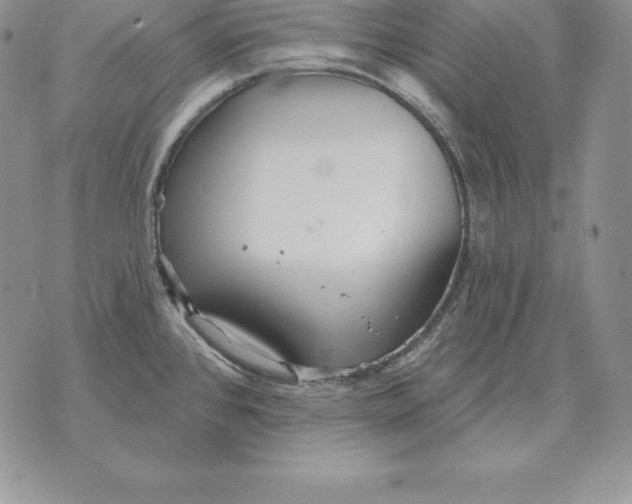 X0000070361384200606301820