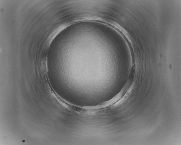 X0000070361385200606301820