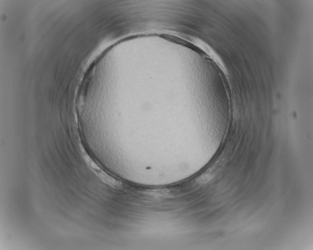 X0000070361388200606301820