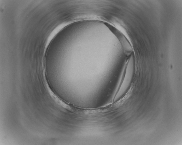 X0000070361389200606301820