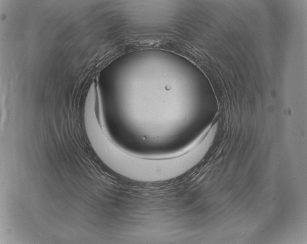 X0000070361394200606301819