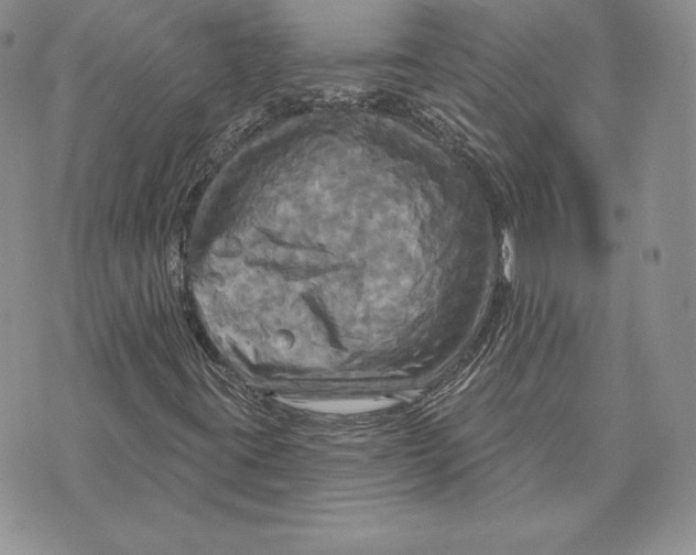 X0000070361395200606301819