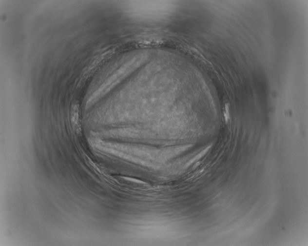 X0000070361396200606301819