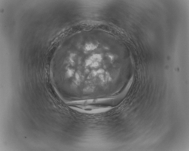 X0000070361397200606301819